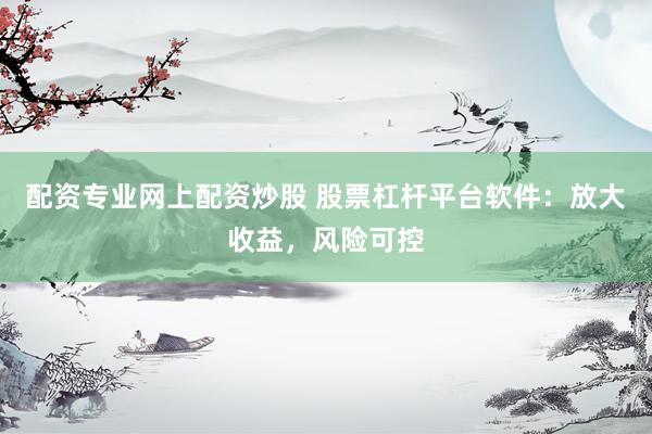 配资专业网上配资炒股 股票杠杆平台软件：放大收益，风险可控