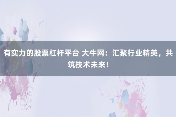 有实力的股票杠杆平台 大牛网：汇聚行业精英，共筑技术未来！