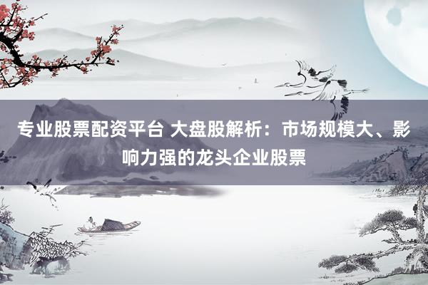 专业股票配资平台 大盘股解析：市场规模大、影响力强的龙头企业股票