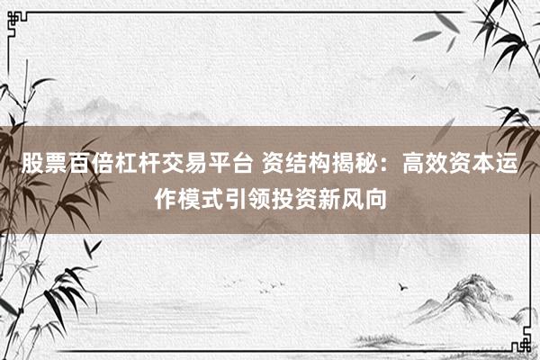 股票百倍杠杆交易平台 资结构揭秘：高效资本运作模式引领投资新风向