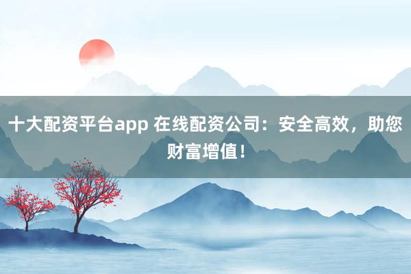 十大配资平台app 在线配资公司：安全高效，助您财富增值！