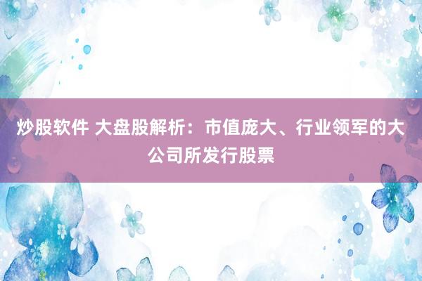 炒股软件 大盘股解析：市值庞大、行业领军的大公司所发行股票