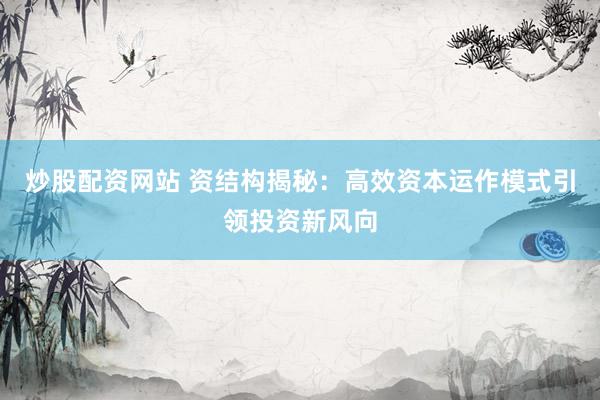 炒股配资网站 资结构揭秘：高效资本运作模式引领投资新风向