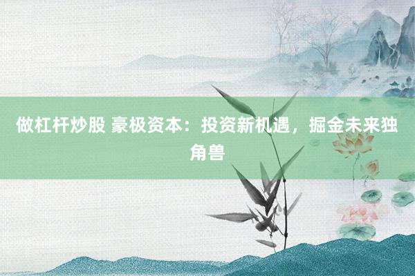 做杠杆炒股 豪极资本：投资新机遇，掘金未来独角兽