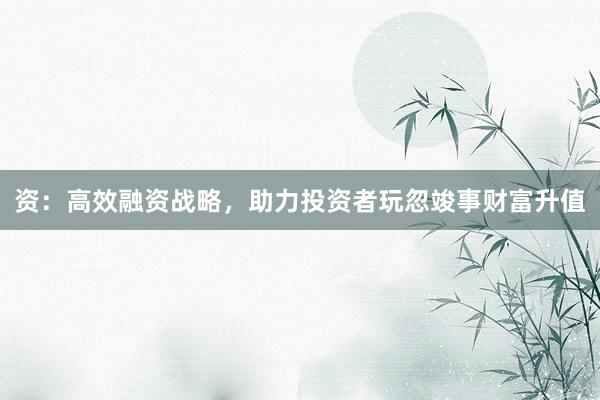 资：高效融资战略，助力投资者玩忽竣事财富升值