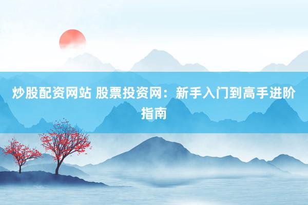 炒股配资网站 股票投资网:新手入门到高手进阶指南