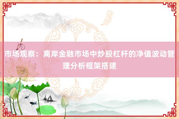 市场观察：离岸金融市场中炒股杠杆的净值波动管理分析框架搭建