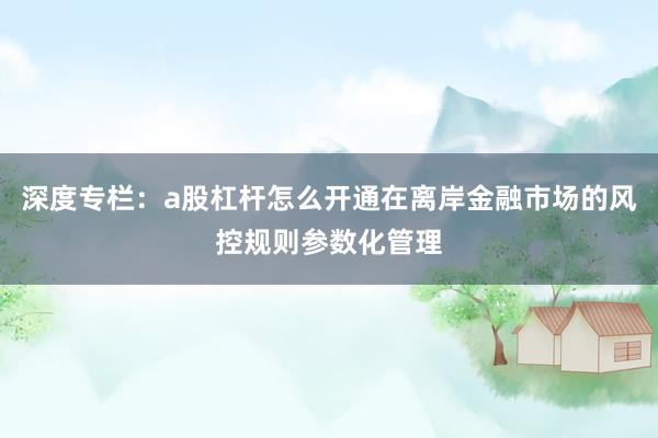 深度专栏：a股杠杆怎么开通在离岸金融市场的风控规则参数化管理