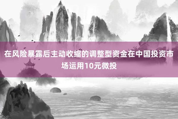 在风险暴露后主动收缩的调整型资金在中国投资市场运用10元微投