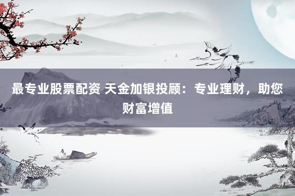 最专业股票配资 天金加银投顾：专业理财，助您财富增值